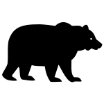 Grizzly Bear