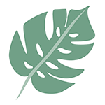 Palm Monstera