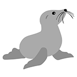 Sea Lion Sealion