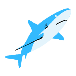 Shark