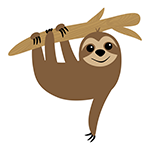 Sloth