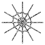 Spiderweb