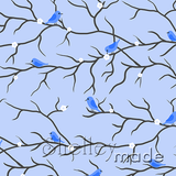Coordinate - Bird Branch