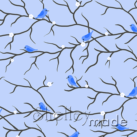 Coordinate - Bird Branch