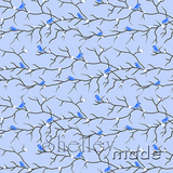 Coordinate - Bird Branch