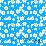 Coordinate - Daisy