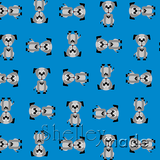 Coordinate - Any Image Structured