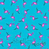 Coordinate - Any Image Scattered