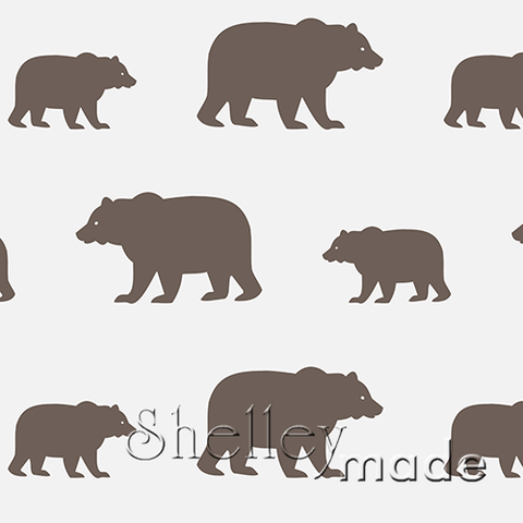 Coordinate - Grizzly Bear
