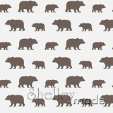 Coordinate - Grizzly Bear