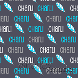 Horizontal Image - Standard