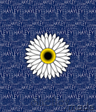 Nested Panel - Block Upper Any Image