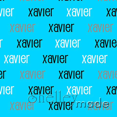 Xavier - Horizontal Design - Standard