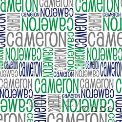 Cameron - Nested Design - Standard