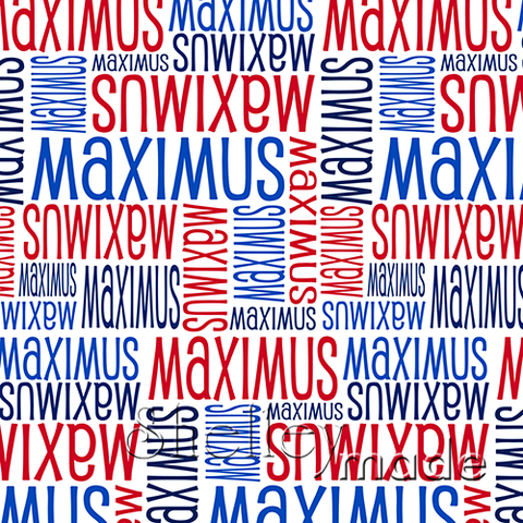 Maximus - Nested Design - Standard
