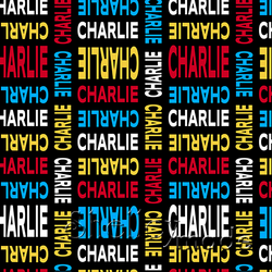 Charlie - Stacked Design - Modern Bold Upper