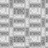 Charlie - Stacked Design - Modern Bold Upper