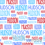 Hudson - Typographic Design - Print