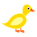 Ducky