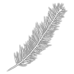 Feather Fine