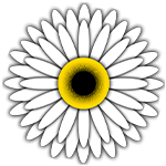 Gerbera