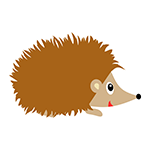 Hedgehog Boy