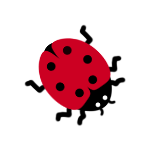 Ladybird