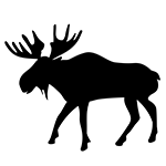 Moose Silhouette
