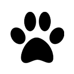 Pet Paw