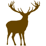 Stag