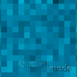 Coordinate - 8 Bit Pixel